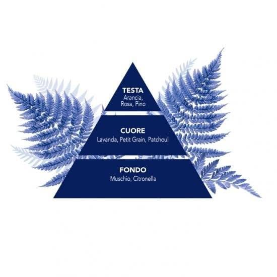 Felce Azzurra Talco Classico 200 g