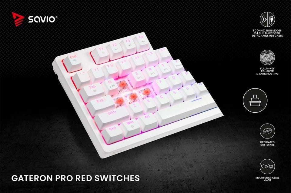 Mechanical Keyboard Phen SAVIO