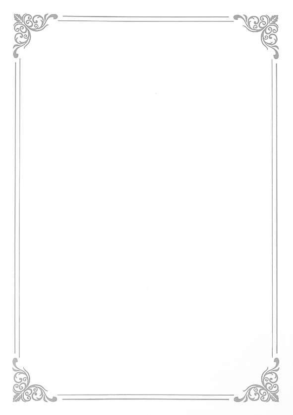Dyplom A4 SILVER 190g. (20ark.) 210719 Galeria Papieru