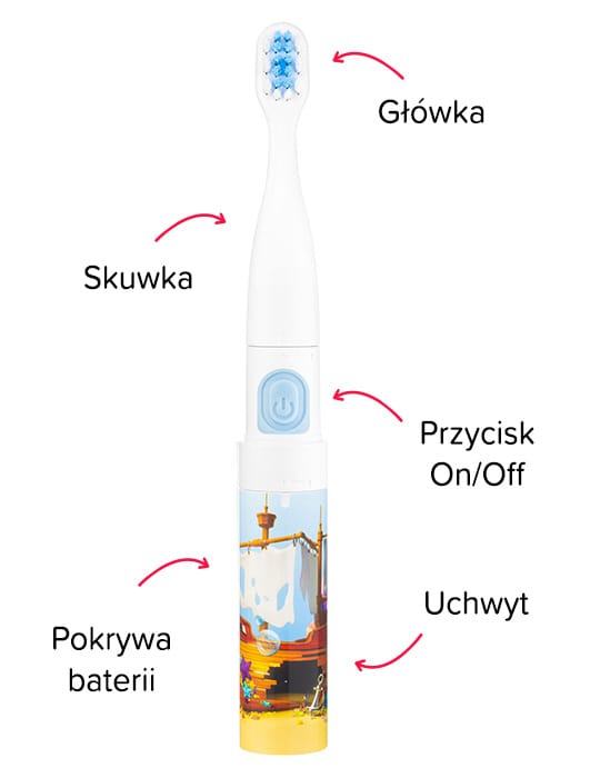 budowa szczoteczki sonicznej smile