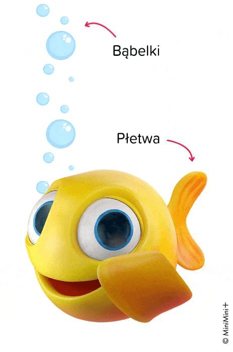 budowa szczoteczki sonicznej smile