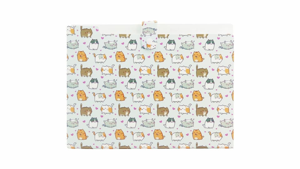 Teczka harmonijkowa A4 PP 5 przegródek z nadrukiem KITTENS THN-A4-35 BIURFOL