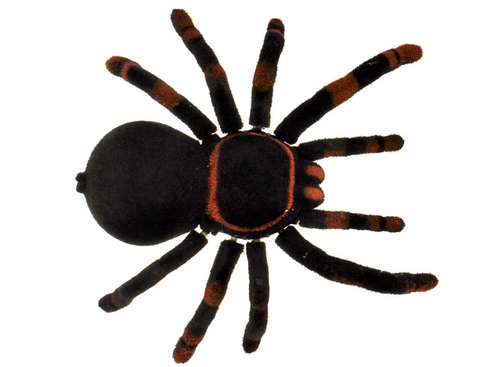 Zdalnie sterowany ogromny realistyczny PAJĄK tarantula pilot RC0251