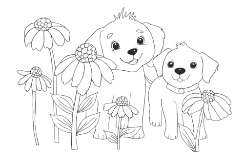 Kolorowanki B5, galeria 6 GAL-104