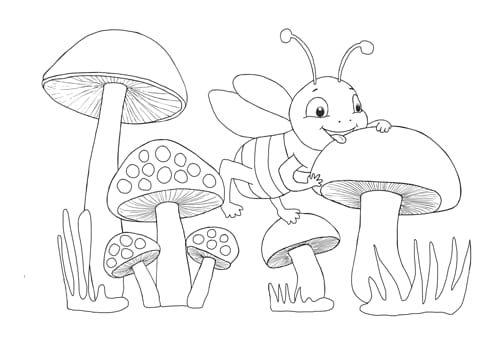 Kolorowanki B5, galeria 8 GAL-106