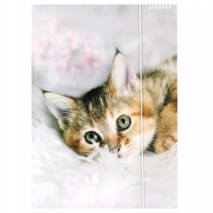 Teczka z gumką A4 KOTKI 559717 STARPAK