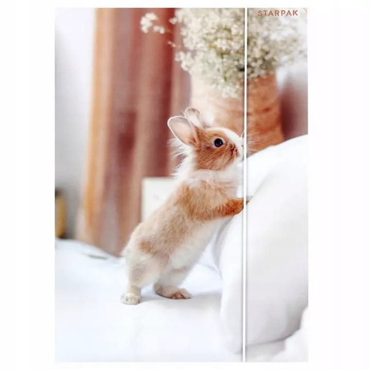 Teczka z gumką A4 KRÓLIK 559727 STARPAK