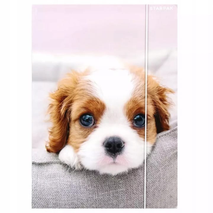 Teczka z gumką A4 PIESKI 559719 STARPAK