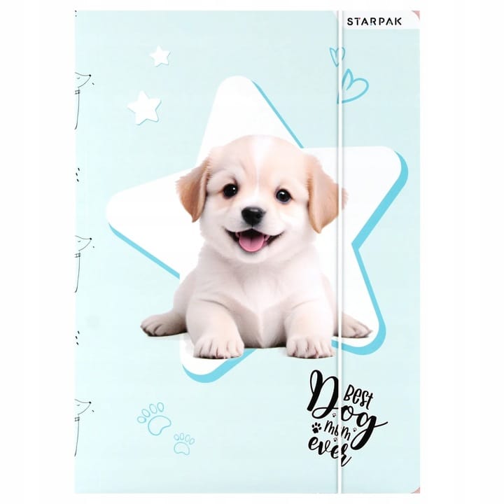 Teczka z gumką A4 DOGGY 559706 STARPAK