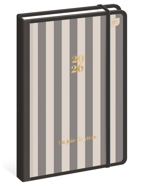 Kalendarz książkowy B5 192 Metallic Stripes INTERDRUK