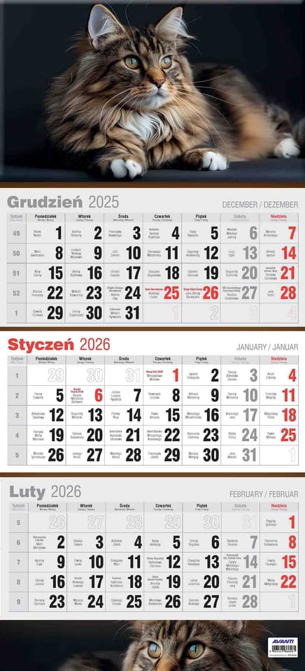 Kalendarz ścienny trójdzielny płaski KTT AVANTI