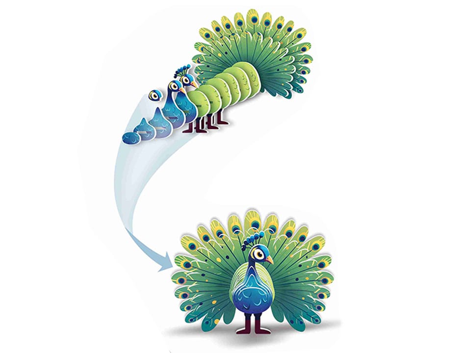 Puzzle 3D kartonowy model kolorowy PAW zrób to sam DIY 18ele ZA5718 pol_pl_Puzzle-3D-kartonowy-model-kolorowy-PAW-zrob-to-sam-DIY-18ele-ZA5718-22393_3