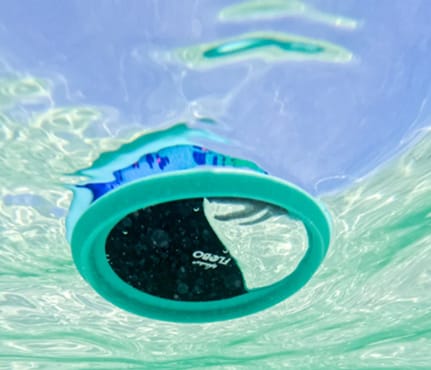 Frisbee Waboba Flobo 18.5cm (Produkt     w kilku kolorach - wysyłka losowa)