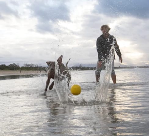 Piłeczka dla psa Waboba Fetch