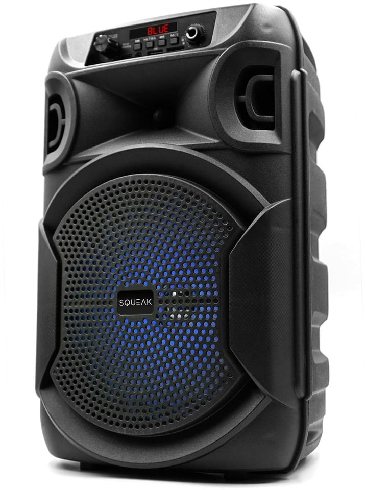 Głośnik mobilny SQUEAK SQ1006 30W Radio FM Czarny