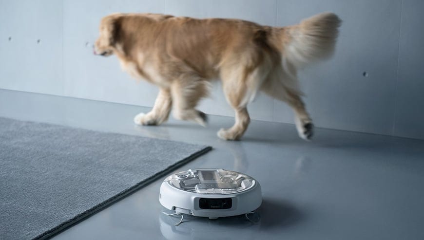 Robot sprzątający ROMO porusza się po podłodze, w tle pies przechodzący obok dywanu