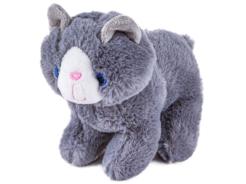 Zestaw Do Pielęgnacji Kota 7el Kot Transporter Plecak Akcesoria Opieka Nad Kotkiem