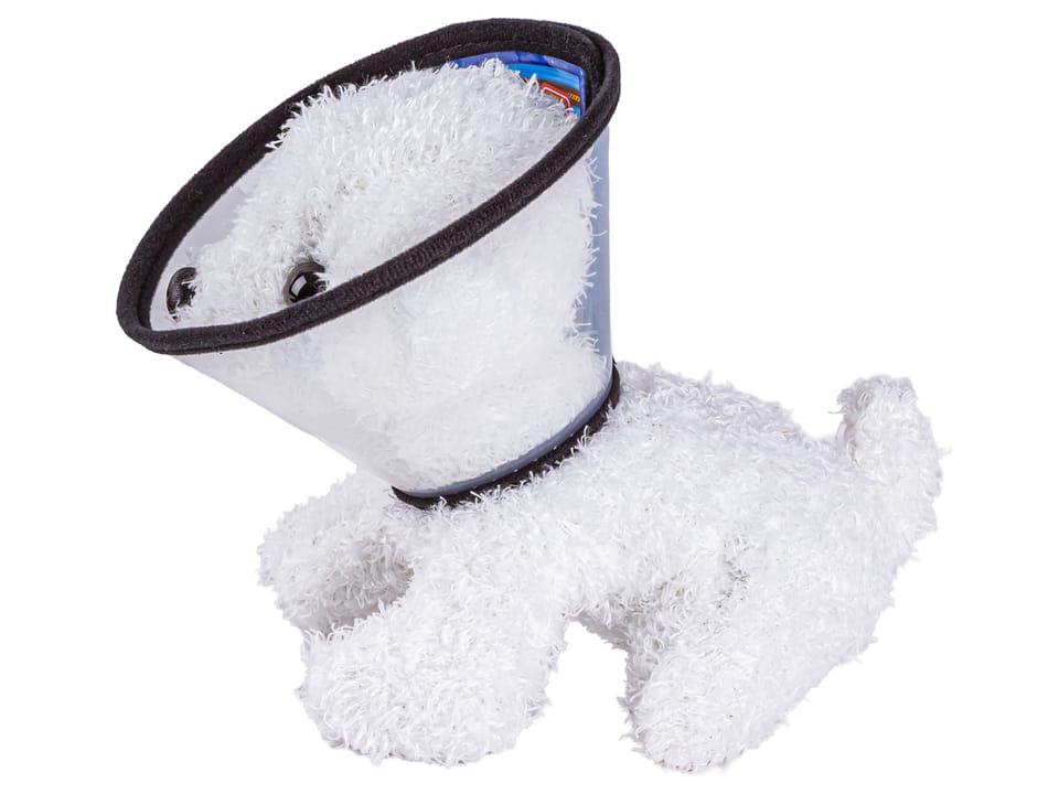 Zestaw Małego Weterynarza Transporter Dla Psa + Akcesoria Klatka Dla Zwierząt Weterynarz Doktor Pies Pluszak