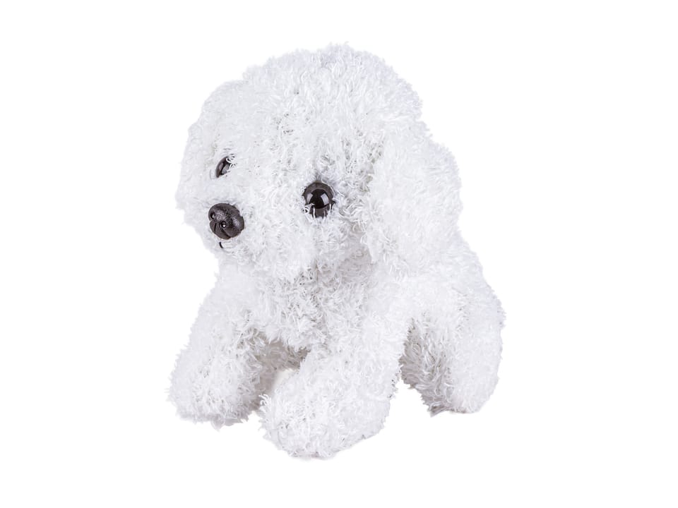 Zestaw Małego Weterynarza Transporter Dla Psa + Akcesoria Klatka Dla Zwierząt Weterynarz Doktor Pies Pluszak