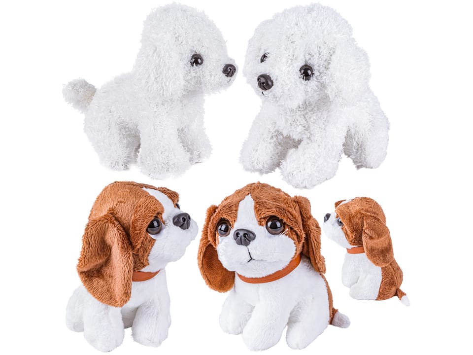 Zestaw Małego Weterynarza Transporter Dla Psa + Akcesoria Klatka Dla Zwierząt Weterynarz Doktor Pies Pluszak