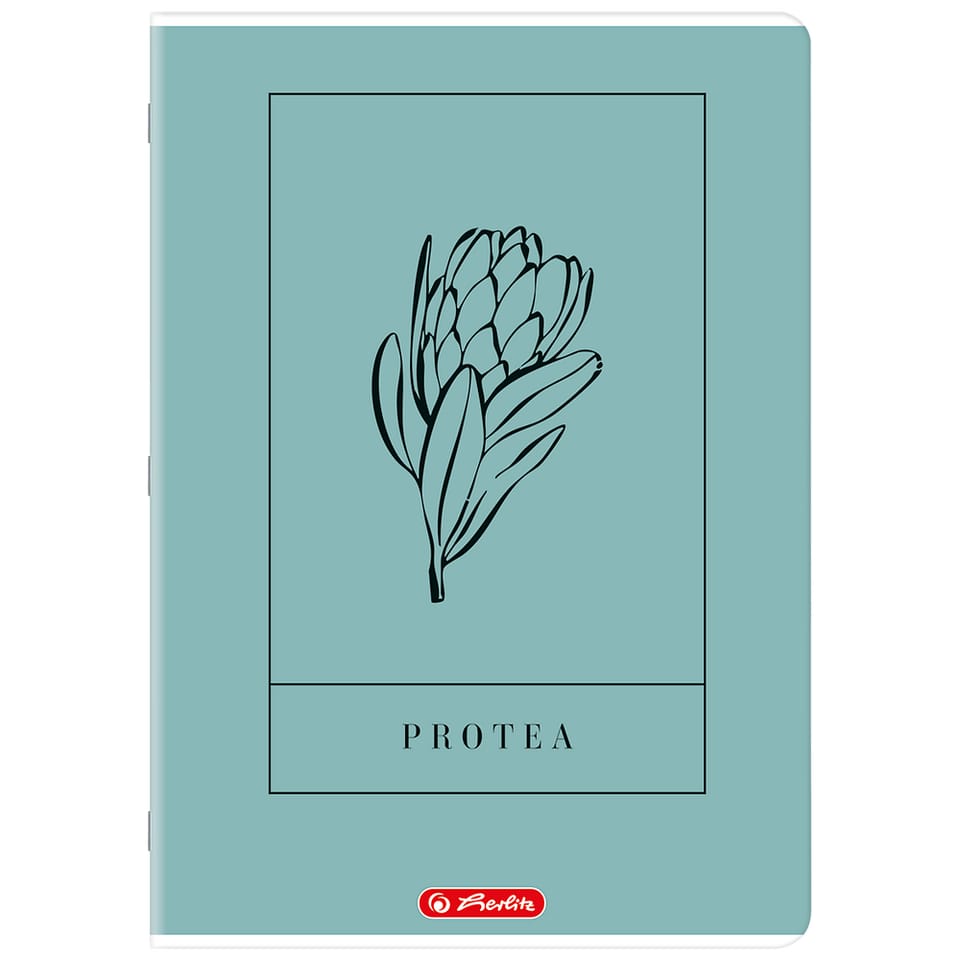 Zeszyt A4 60k linia z marginesem mix 400206364 HERLITZ