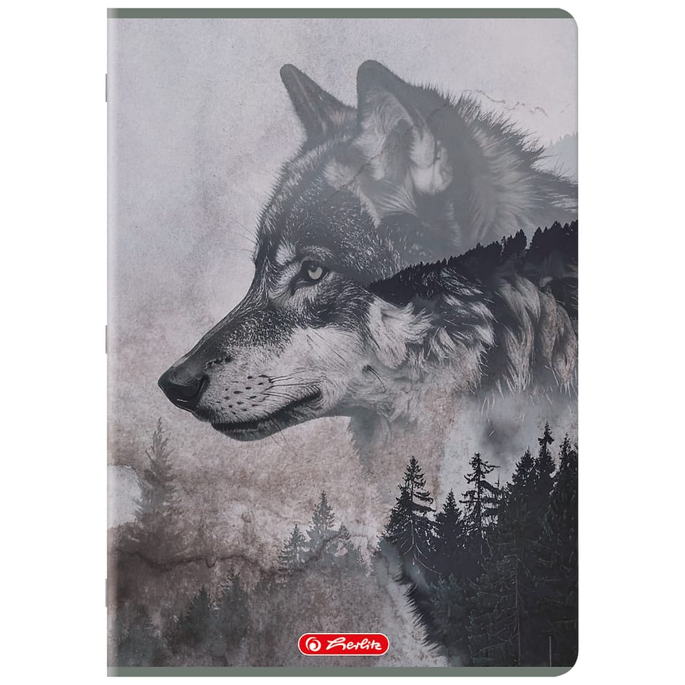 Zeszyt A4 80k kratka z marginesem WILD 400206433 HERLITZ