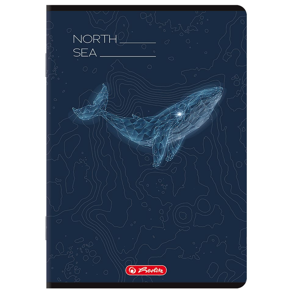 Zeszyt A5 60k linia z marginesem mix 400206346 HERLITZ