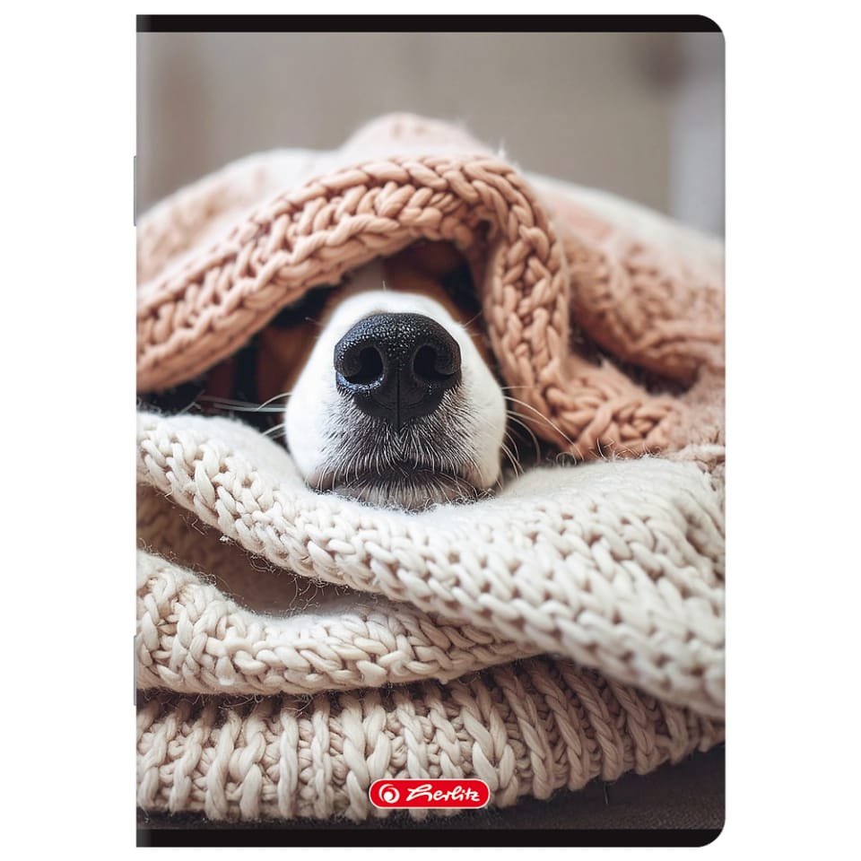 Zeszyt A5 80k kratka z marginesem mix 400206357 HERLITZ