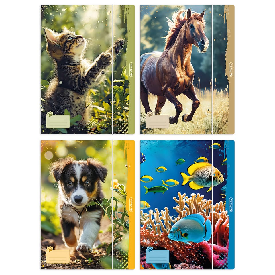 Teczka szkolna z gumką A4 ANIMALS 300023013 HERLITZ