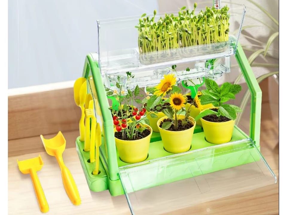 Szklarnia Dla Dzieci Mini Ogród Ogródek Plantacja + Akcesoria
