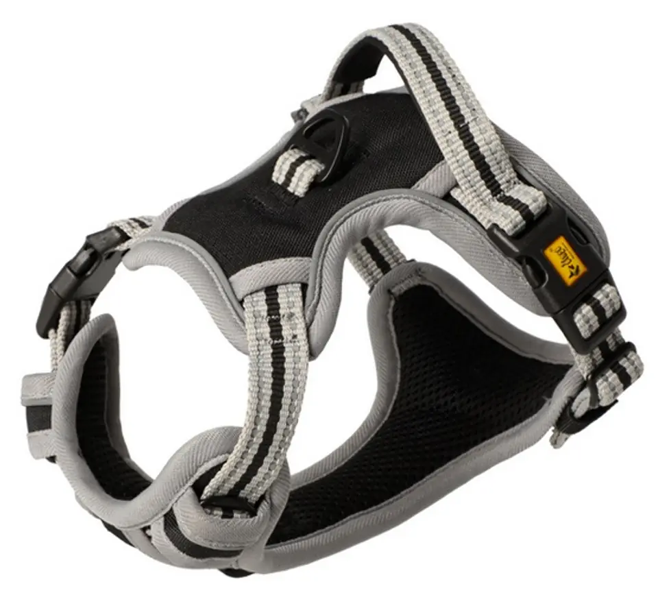 Dingo Pressure free harness Dynamic XL black Wasserman.eu