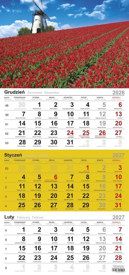Kalendarz trójdzielny(H) POLE TULIPANÓW T-106T-05 Michalczyk i Prokop