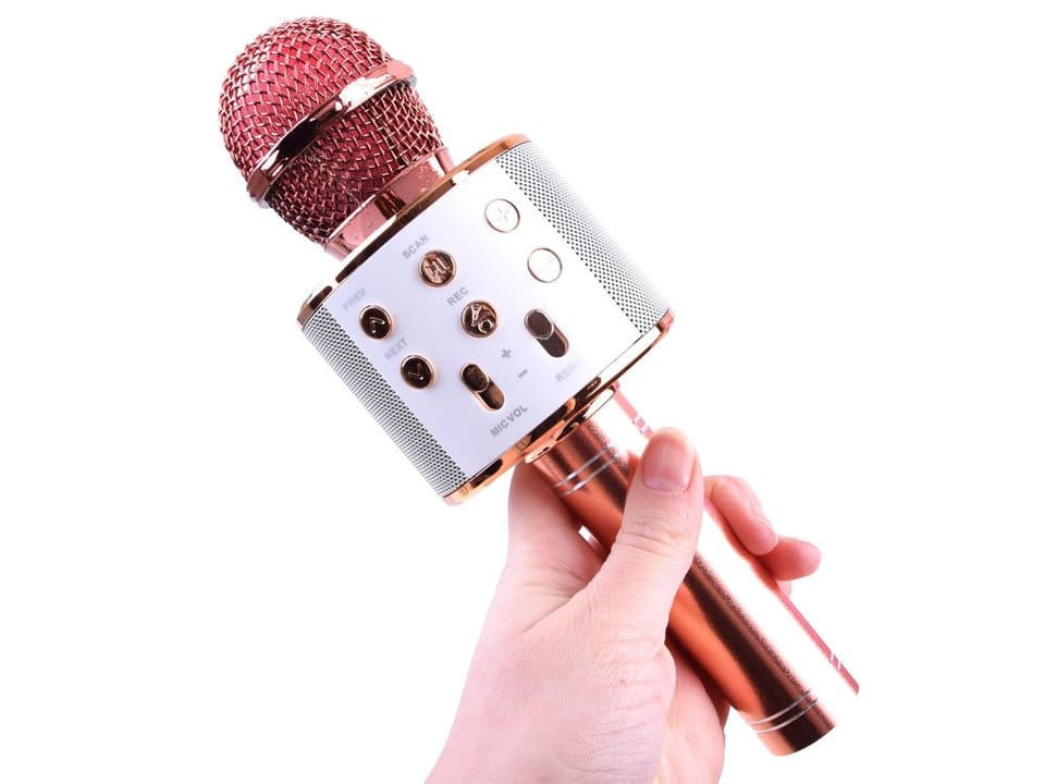 Mikrofon bezprzewodowy karaoke głośnik modulacja głosu bluetooth IN0136