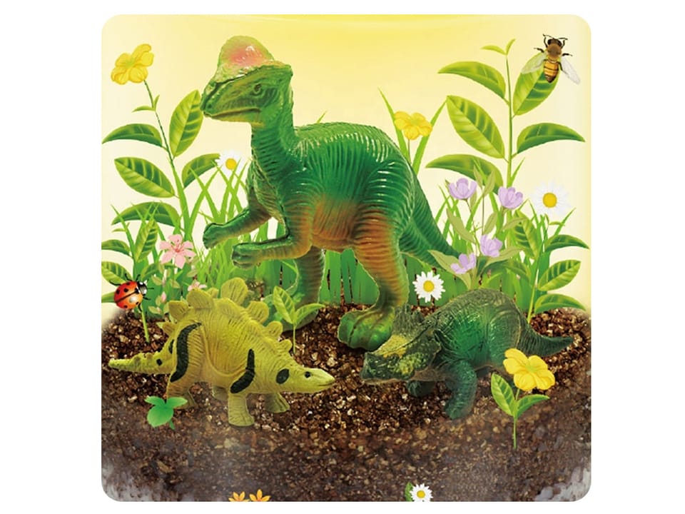 Oświetlony OGRÓD DINOZAURÓW 3w1 terrarium, lampka, uprawa roślin DIY ZA6567 pol_pl_Oswietlony-OGROD-DINOZAUROW-3w1-terrarium-lampka-uprawa-roslin-DIY-ZA6567-23948_6