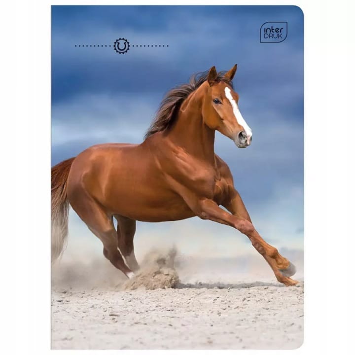 Zeszyt A5 16k linia 70g UV Wild Horses INTERDRUK