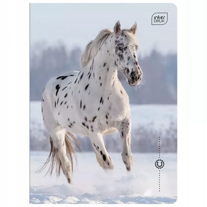 Zeszyt A5 16k linia 70g UV Wild Horses INTERDRUK
