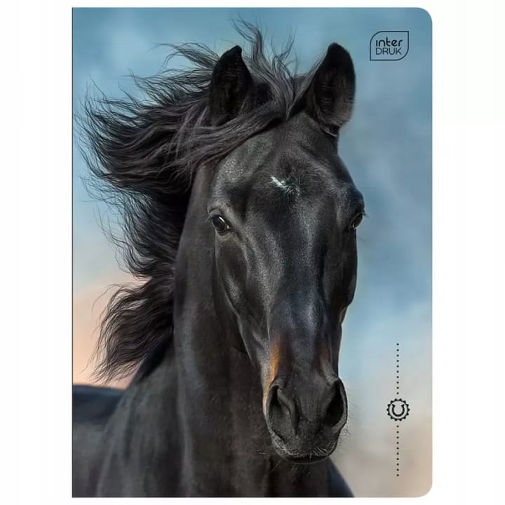 Zeszyt A5 16k linia 70g UV Wild Horses INTERDRUK