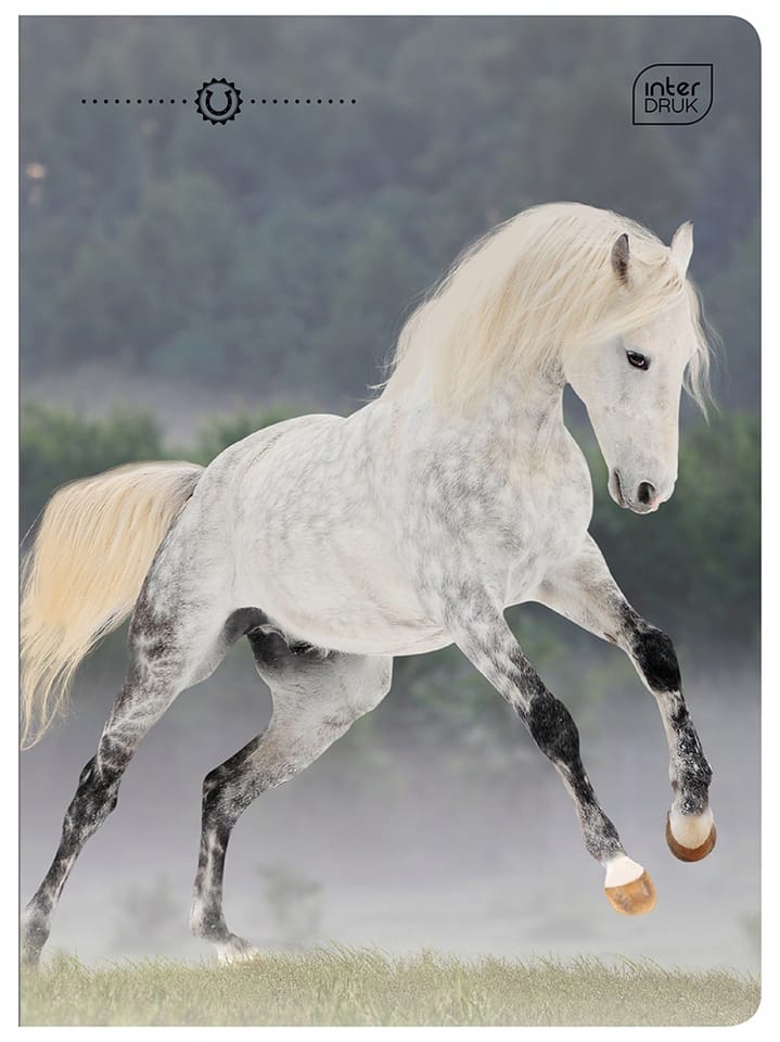 Zeszyt A5 32k 3-linia kol. 70g UV Wild Horses INTERDRUK