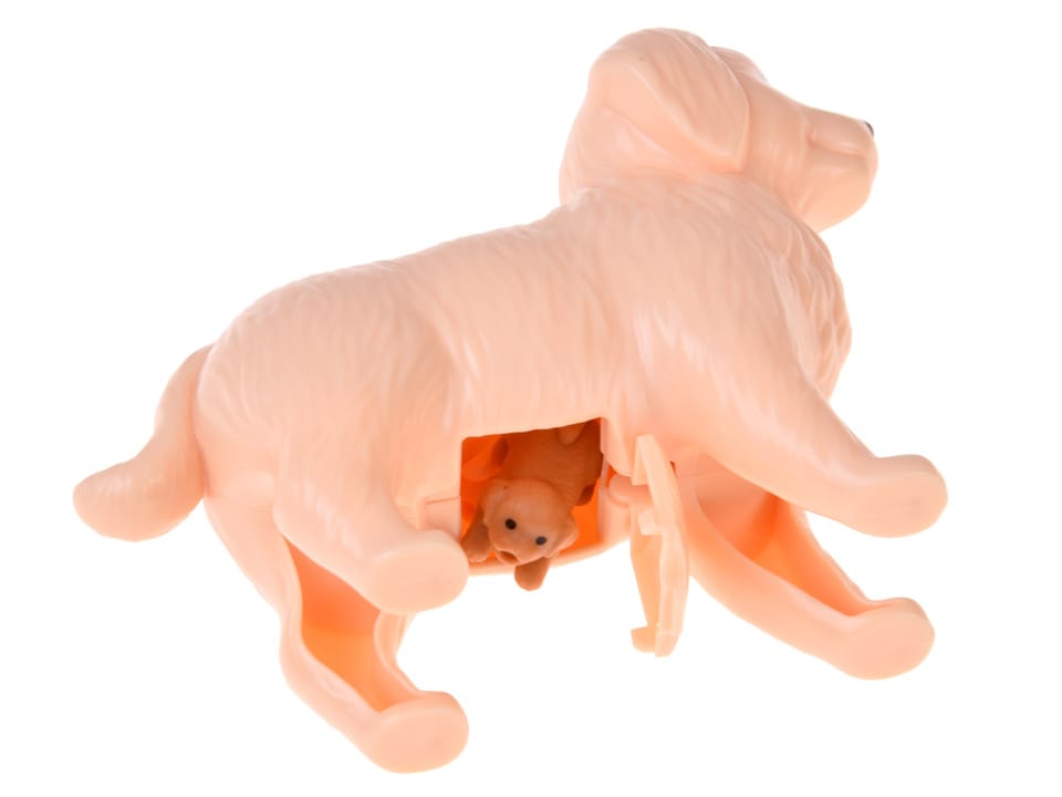 Anlily Figurka PIESEK mama w ciąży rodząca szczeniaki x2 i akcesoria ZA6225 pol_pl_Anlily-Figurka-PIESEK-mama-w-ciazy-rodzaca-szczeniaki-x2-i-akcesoria-ZA6225-23749_1