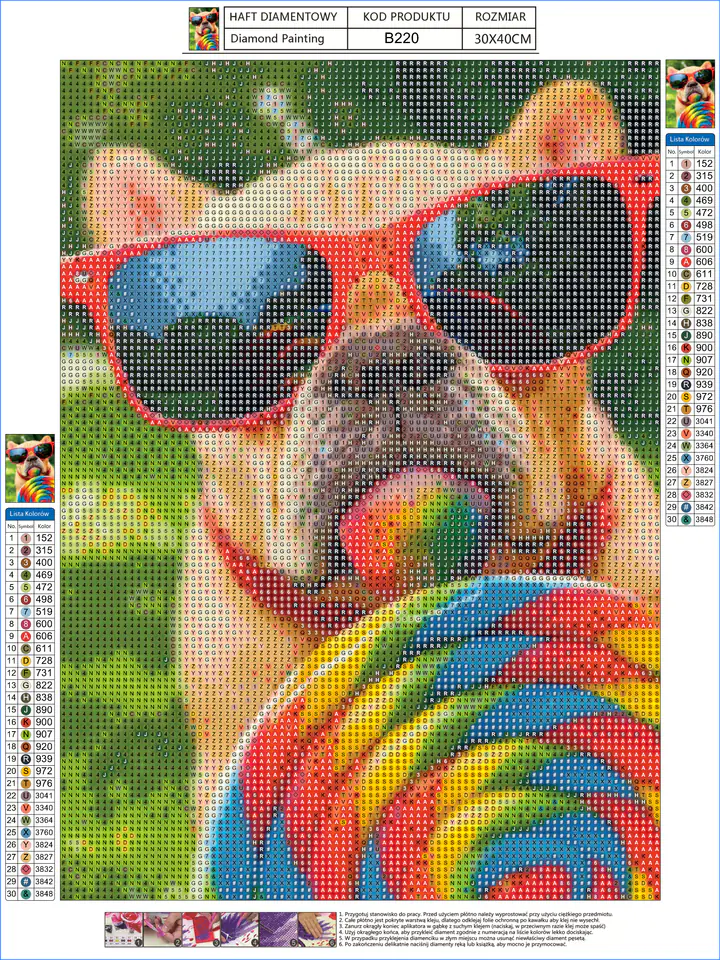 Diamond Embroidery, Painting, Diamond Mosaic Diamond Painting, DOG IN GLASSES 30x40cm