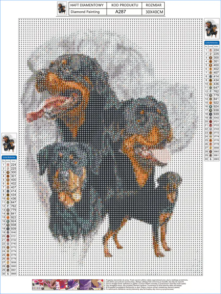 Diamond Embroidery, Painting, Diamond Mosaic Diamond Painting, DOG - ROTTWEILER 30x40cm