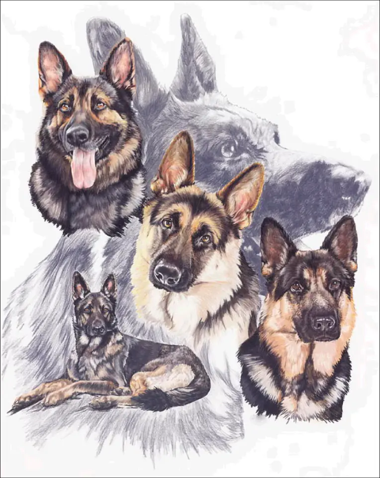 Haft Diamentowy, Obraz, Mozaika Diamentowa Diamond Painting, OWCZARKI NIEMIECKIE 30x40cm