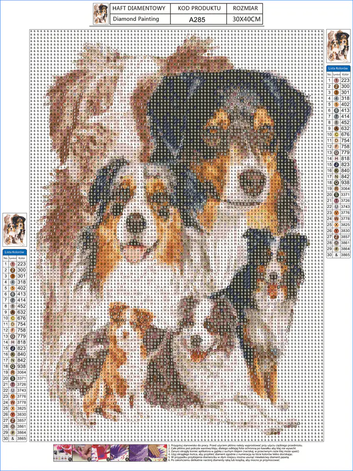 Diamond Embroidery, Painting, Diamond Mosaic Diamond Painting, DOG - AUSTRALIAN SHEPHERD 30x40cm