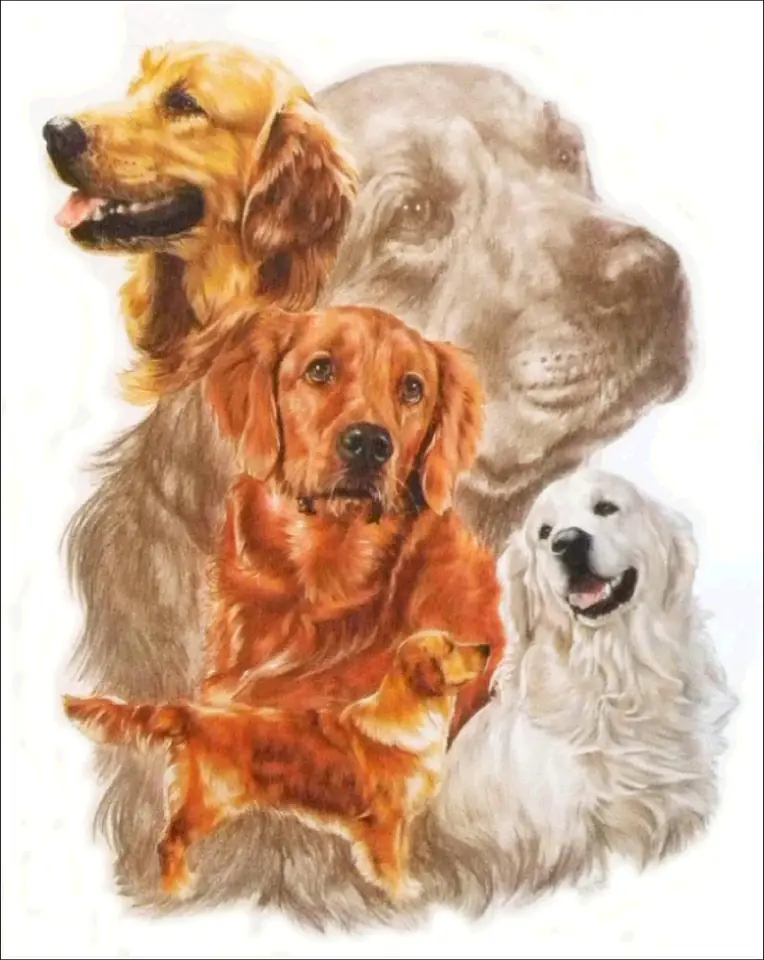 Haft Diamentowy, Obraz, Mozaika Diamentowa Diamond Painting, PIES - GOLDEN RETRIEVER 30x35cm