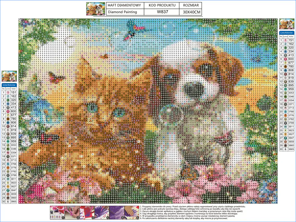 Diamond Embroidery, Painting, Diamond Mosaic Diamond Painting, FRIENDS 40x30cm