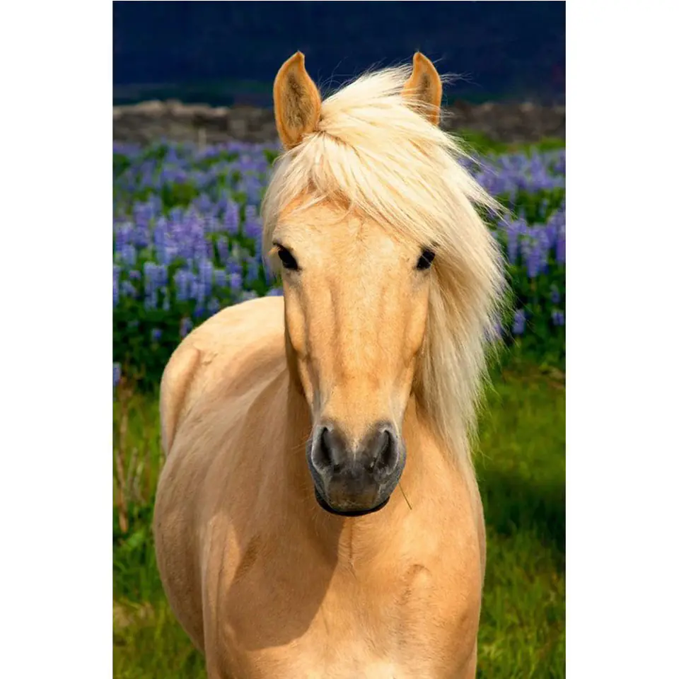 Haft Diamentowy, Obraz, Mozaika Diamentowa Diamond Painting, DOSTOJNY KOŃ 30x40cm