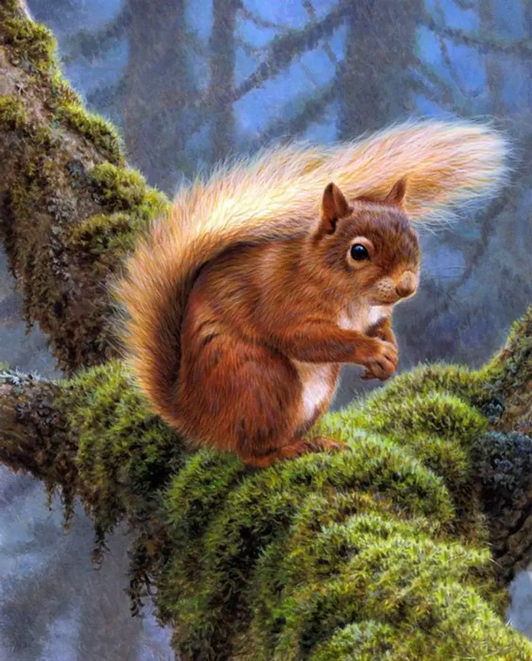 Haft Diamentowy, Obraz, Mozaika Diamentowa Diamond Painting, WIEWIÓRKA 30x40cm