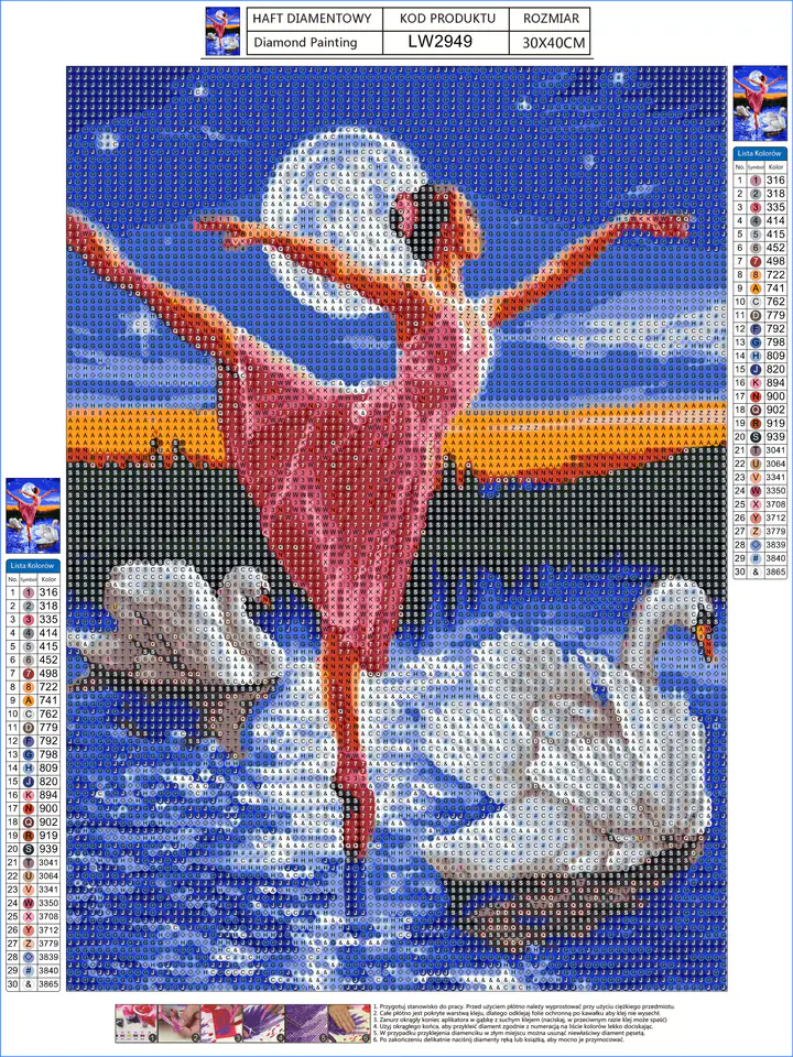 Diamond Embroidery, Painting, Diamond Mosaic Diamond Painting, SWAN LAKE Ballerina 30x40cm