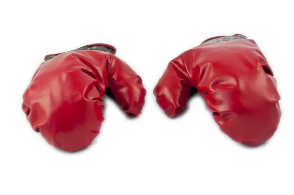 Boxing Pear + Gloves