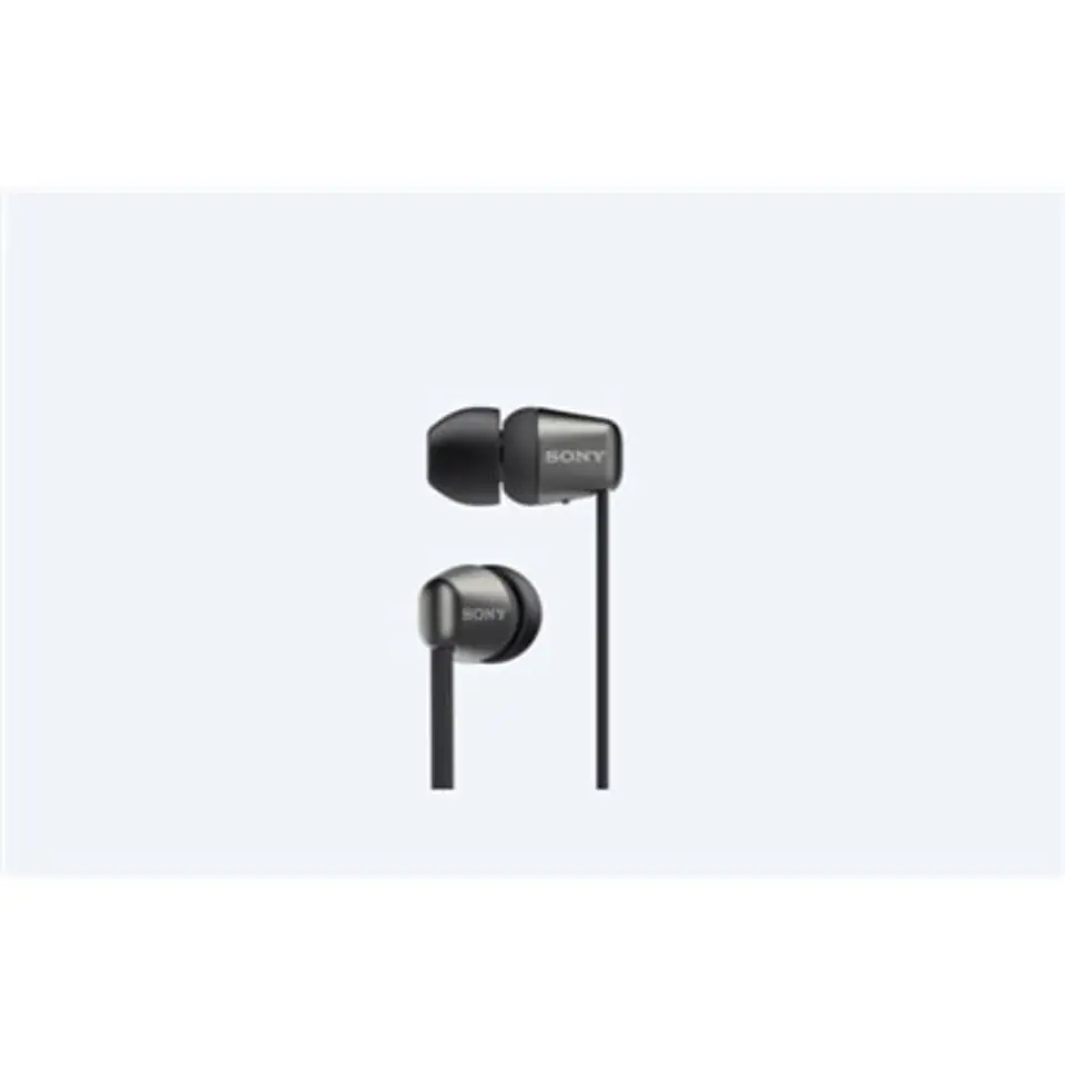 Wireless earphones WI-C310 black | Wasserman.eu